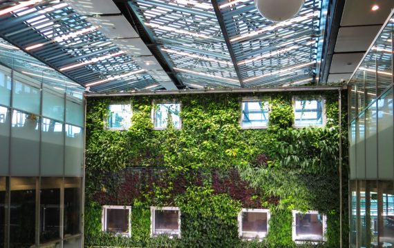 architectural-design-ceiling-construction-1188834 architectural-design-ceiling-construction-1188834