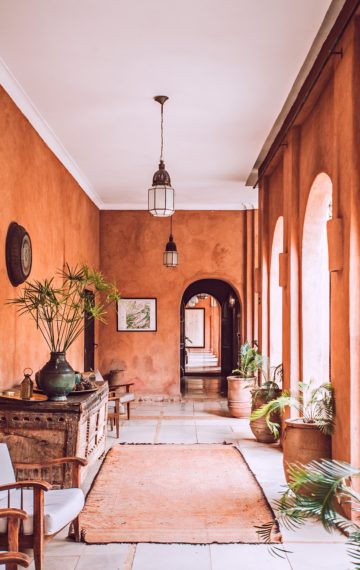 orlova-maria-b37mDyPzdJM-unsplash orlova-maria-b37mDyPzdJM-unsplash